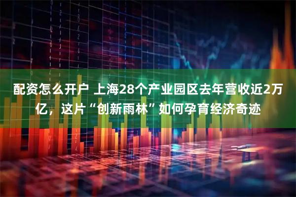 配资怎么开户 上海28个产业园区去年营收近2万亿，这片“创新雨林”如何孕育经济奇迹
